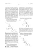 FUSED HETEROAROMATIC PYRROLIDINONES diagram and image