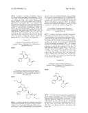 FUSED HETEROAROMATIC PYRROLIDINONES diagram and image