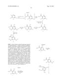 FUSED HETEROAROMATIC PYRROLIDINONES diagram and image