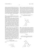 FUSED HETEROAROMATIC PYRROLIDINONES diagram and image