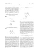 FUSED HETEROAROMATIC PYRROLIDINONES diagram and image