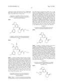 FUSED HETEROAROMATIC PYRROLIDINONES diagram and image