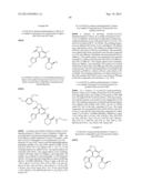 FUSED HETEROAROMATIC PYRROLIDINONES diagram and image