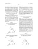 FUSED HETEROAROMATIC PYRROLIDINONES diagram and image