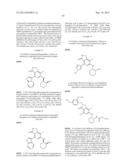 FUSED HETEROAROMATIC PYRROLIDINONES diagram and image