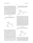 FUSED HETEROAROMATIC PYRROLIDINONES diagram and image