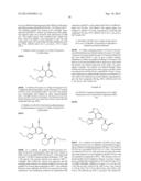 FUSED HETEROAROMATIC PYRROLIDINONES diagram and image