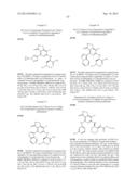 FUSED HETEROAROMATIC PYRROLIDINONES diagram and image