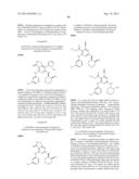 FUSED HETEROAROMATIC PYRROLIDINONES diagram and image