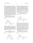 FUSED HETEROAROMATIC PYRROLIDINONES diagram and image