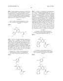 FUSED HETEROAROMATIC PYRROLIDINONES diagram and image