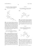 FUSED HETEROAROMATIC PYRROLIDINONES diagram and image