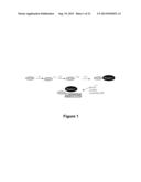 BICYCLIC AND TRICYCLIC INHIBITORS OF SUMOYLATION ENZYMES AND METHODS OF     THEIR USE diagram and image