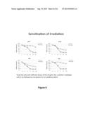 BICYCLIC AND TRICYCLIC INHIBITORS OF SUMOYLATION ENZYMES AND METHODS OF     THEIR USE diagram and image