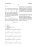 Antibodies To Non-Functional P2X7 Receptor diagram and image