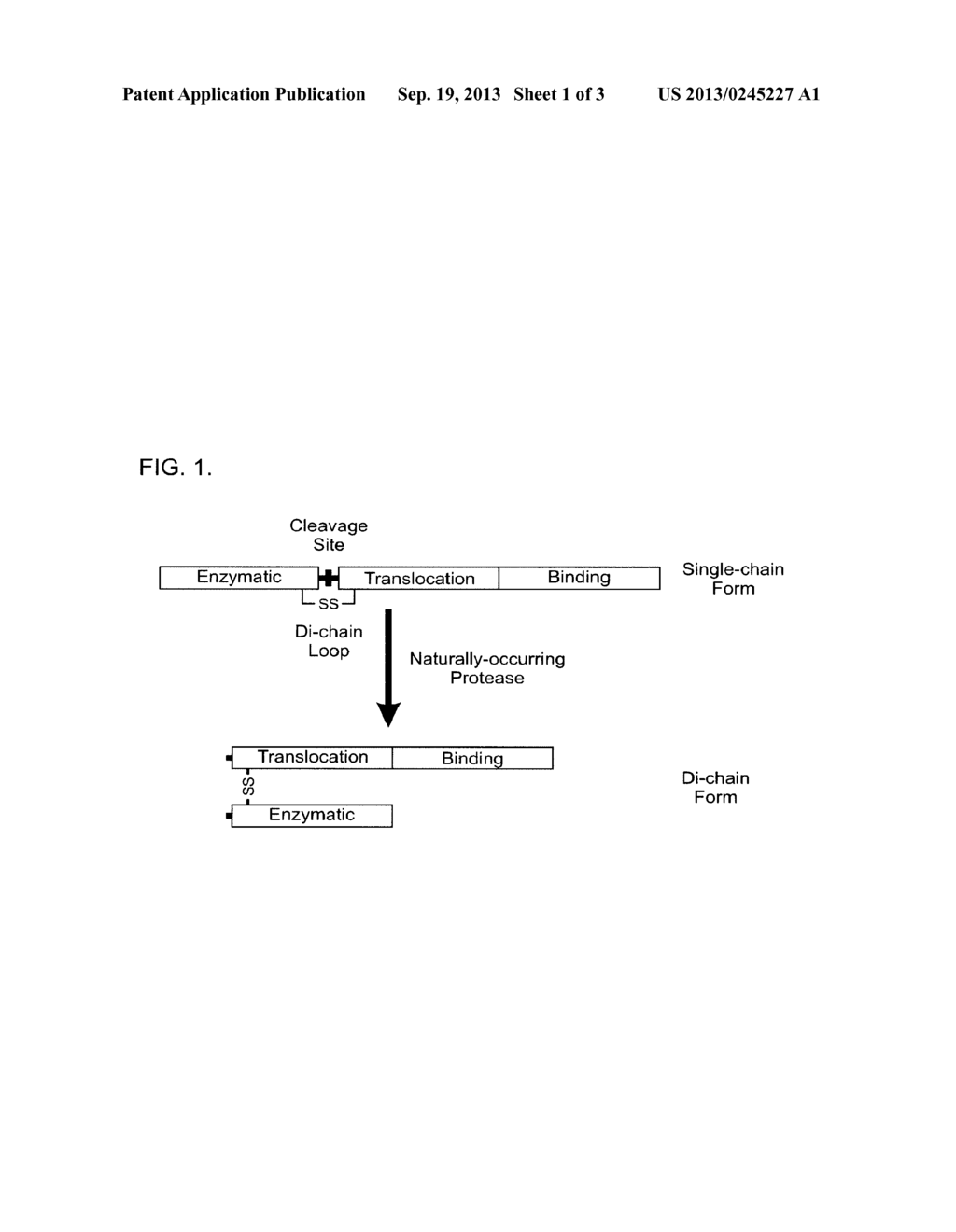 METHODS OF ACTIVATING CLOSTRIDIAL TOXINS - diagram, schematic, and image 02