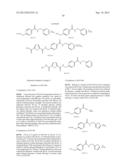 HETEROCYCLIC COMPOUNDS AND EXPANSION AGENTS FOR HEMATOPOIETIC STEM CELLS diagram and image