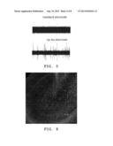 Nanoporous Metal Multiple Electrode Array and Method of Making Same diagram and image