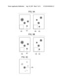 SUBJECT INFORMATION OBTAINING DEVICE, SUBJECT INFORMATION OBTAINING     METHOD, AND NON-TRANSITORY COMPUTER-READABLE STORAGE MEDIUM diagram and image