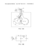 MINIMALLY INVASIVE DETERMINATION OF COLLATERAL VENTILATION IN LUNGS diagram and image