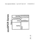 G PROTEIN COUPLED RECEPTORS AND USES THEREOF diagram and image