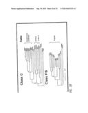 G PROTEIN COUPLED RECEPTORS AND USES THEREOF diagram and image