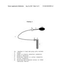 Lungie pet leash diagram and image