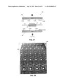 ELECTROACTIVE POLYMER BASED PRESSURE SENSOR diagram and image