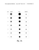 INTERACTIVE VISUAL REPRESENTATION OF POINTS OF INTEREST DATA diagram and image