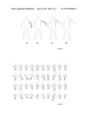 PARAMETERIZED MODEL OF 2D ARTICULATED HUMAN SHAPE diagram and image