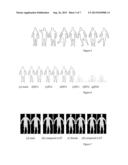 PARAMETERIZED MODEL OF 2D ARTICULATED HUMAN SHAPE diagram and image