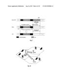 SEARCH SPACE FOR NON-INTERLEAVED RELAY PHYSICAL DOWNLINK CONTROL CHANNEL     R-PDCCH diagram and image