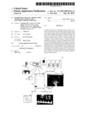 METHOD FOR CREATING A REPORT FROM RADIOLOGICAL IMAGES USING ELECTRONIC     REPORT TEMPLATES diagram and image