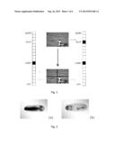 ENHANCED MAX MARGIN LEARNING ON MULTIMODAL DATA MINING IN A MULTIMEDIA     DATABASE diagram and image