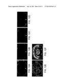 Functionalized Magnetic Nanoparticles and Methods of Use Thereof diagram and image