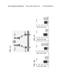 USE OF OSTEOPROTEGERIN (OPG) TO INCREASE HUMAN PANCREATIC BETA CELL     SURVIVAL AND PROLIFERATION diagram and image