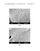 Protein Stabilized Antimicrobial Composition Formed by Melt Processing diagram and image