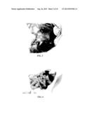 Modified Starch Material of Biocompatible Hemostasis diagram and image