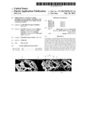 NOBLE METAL CATALYST LAYER, MEMBRANE ELECTRODE ASSEMBLY, AND METHOD FOR     PRODUCING NOBLE METAL CATALYST LAYER diagram and image