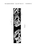 NOBLE METAL CATALYST LAYER, MEMBRANE ELECTRODE ASSEMBLY, AND METHOD FOR     PRODUCING NOBLE METAL CATALYST LAYER diagram and image