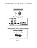 METHOD FOR THE DIAGNOSIS AND/OR PROGNOSIS OF INFLAMMATORY STATES diagram and image