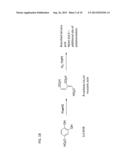 PRODUCTION OF INDUSTRIALLY RELEVANT COMPOUNDS IN PROKARYOTIC ORGANISMS diagram and image