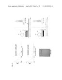 PRODUCTION OF INDUSTRIALLY RELEVANT COMPOUNDS IN PROKARYOTIC ORGANISMS diagram and image