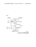 COMPOSITIONS AND METHODS FOR INCREASED ETHANOL TITER FROM BIOMASS diagram and image