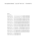 COMPOSITIONS AND METHODS FOR INCREASED ETHANOL TITER FROM BIOMASS diagram and image