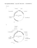 THREE-DIMENSIONAL STRUCTURE OF ISOPRENE SYNTHASE AND ITS USE THEREOF FOR     GENERATING VARIANTS diagram and image