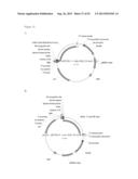 THREE-DIMENSIONAL STRUCTURE OF ISOPRENE SYNTHASE AND ITS USE THEREOF FOR     GENERATING VARIANTS diagram and image