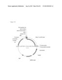 THREE-DIMENSIONAL STRUCTURE OF ISOPRENE SYNTHASE AND ITS USE THEREOF FOR     GENERATING VARIANTS diagram and image