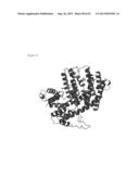 THREE-DIMENSIONAL STRUCTURE OF ISOPRENE SYNTHASE AND ITS USE THEREOF FOR     GENERATING VARIANTS diagram and image