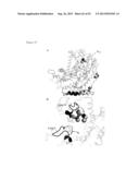 THREE-DIMENSIONAL STRUCTURE OF ISOPRENE SYNTHASE AND ITS USE THEREOF FOR     GENERATING VARIANTS diagram and image